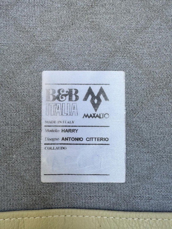 B&B Italia Fauteuil Harry (los of als set) – Leather, Metal (photo 16 of 16)