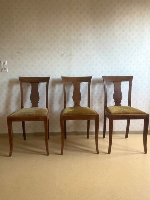 Harmonious mustard-colored Biedermeier chairs