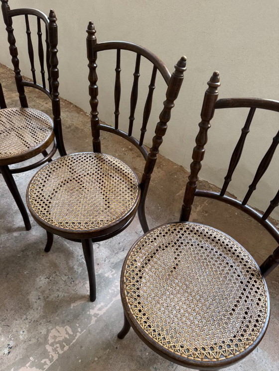 Image 1 of Sillas Thonet, lote de 5