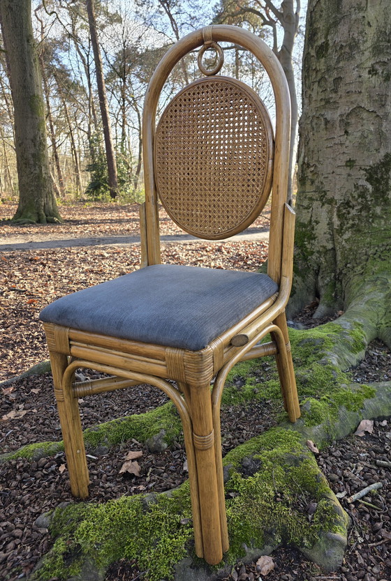 Image 1 of Vintage rotan stoelen met cane rug | set van 4