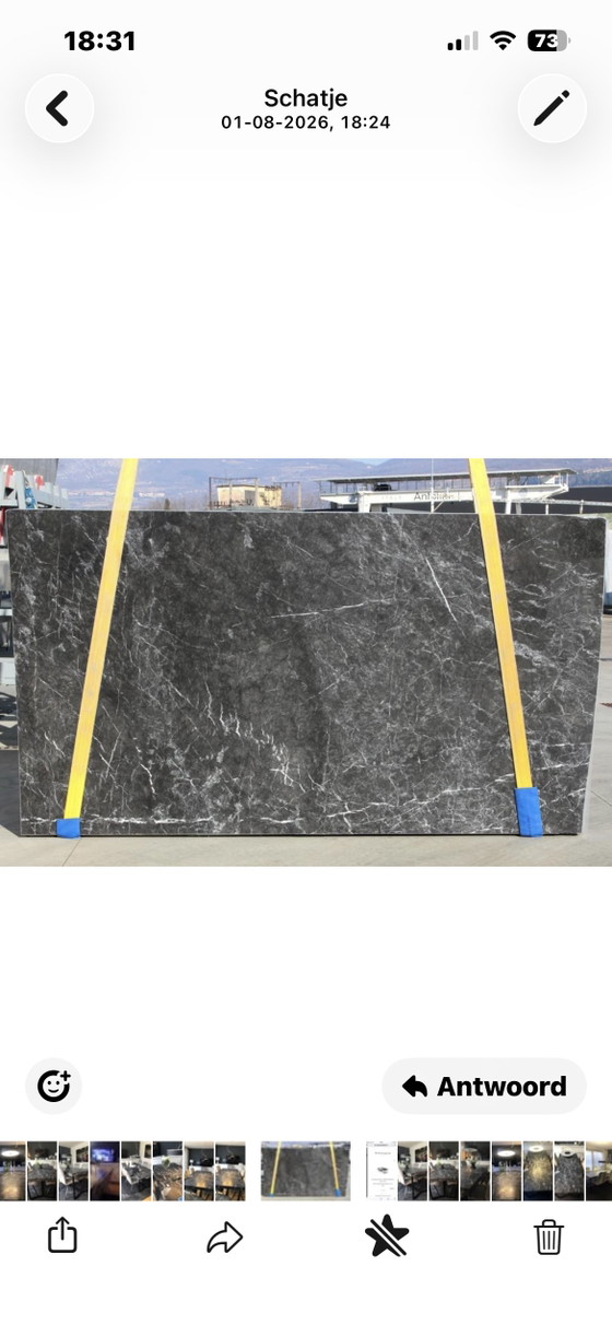 Luxury Marble Dining Table Celio Grigio Carnico Marble – Metal (photo 5 of 6)