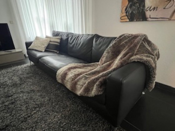 Image 1 of Sofá de 3 plazas Harry de B&B Italia