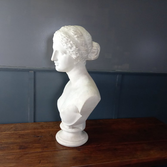 Image 1 of Busto excepcionalmente grande de tamaño natural de la Venus de Milo, busto grande de yeso