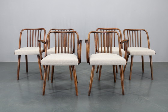 Image 1 of 1960 Antonin Suman Ensemble de six chaises de salle à manger en hêtre, restaurées