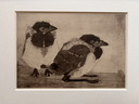Jan Mankes 1889-1920 / Héliogravure originale 2 Jeunes Pies 1923