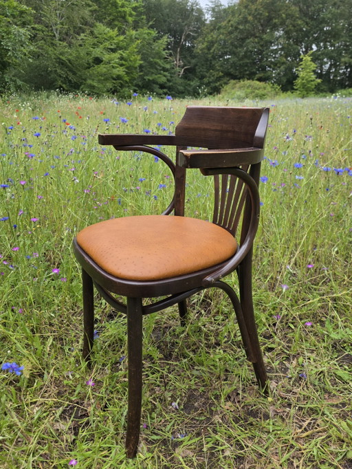 Chaise de café Satellite de style Thonet avec structure en autruche