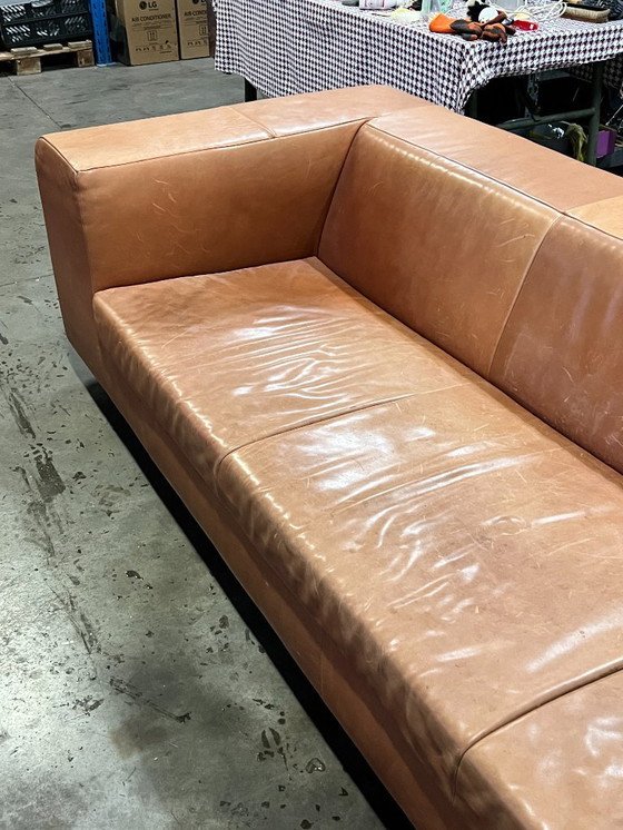 Image 1 of Sofá XL, Montis Malou, Tapizado en Cuero, Coñac