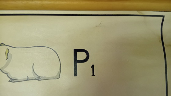 Image 1 of Tabla escolar antigua de J. Verhave, Genética n.° 8, Cobayas