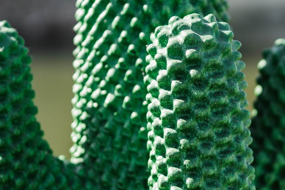 Image 1 of Gufram Cactus - Vert - Limitée 450/2000 - Multipli 86' série