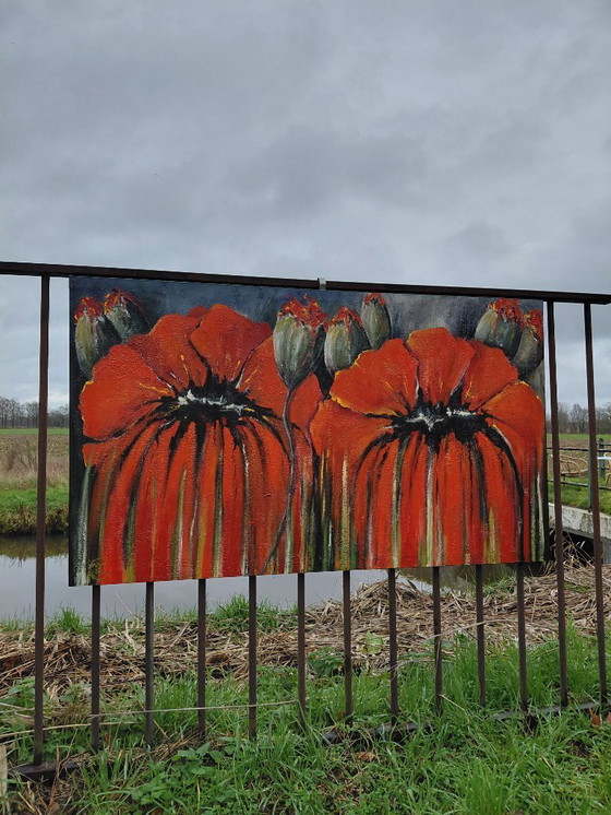 Image 1 of Tableau coloré avec des coquelicots