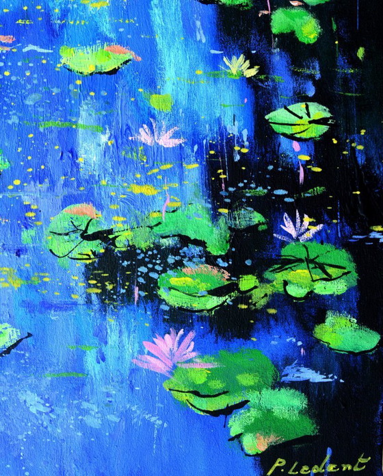 Image 1 of Nénuphars