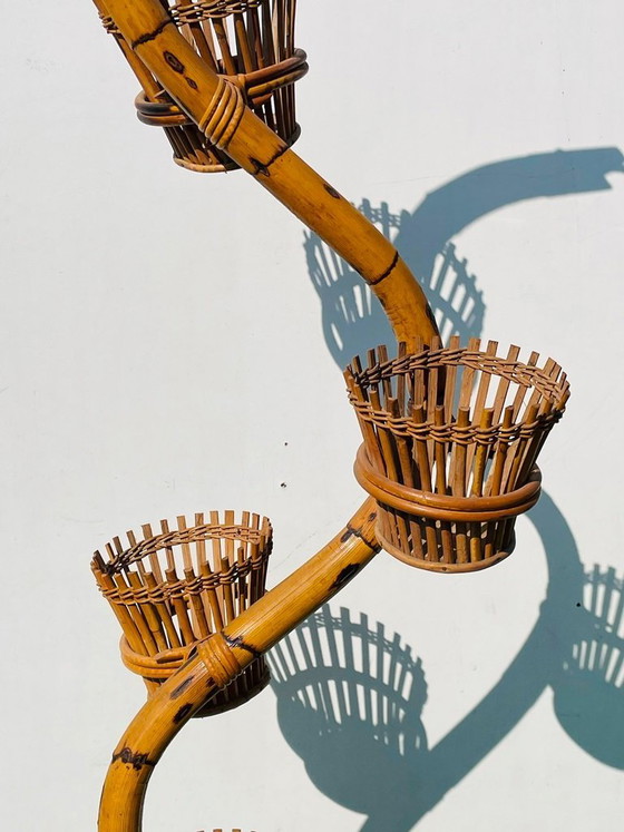 Image 1 of Supporto per piante a forma di serpente in bambù anni '50 * Vintage* Porta piante