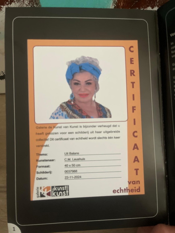 Image 1 of Kunstwerk C.M. Leushuis