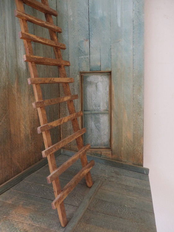 Eric Van Solm - 'Life' – Sculpture, Wood, Hedendaags (photo 7 of 8)