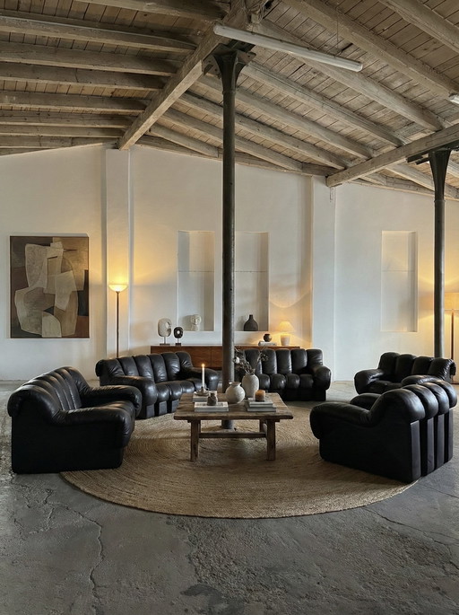 DIVANO MODULARE DE SEDE DS-600 “TATZELWURM” / “SNAKE” MARRONE SCURO 26 ELEMENTI SVIZZERA ANNI '80