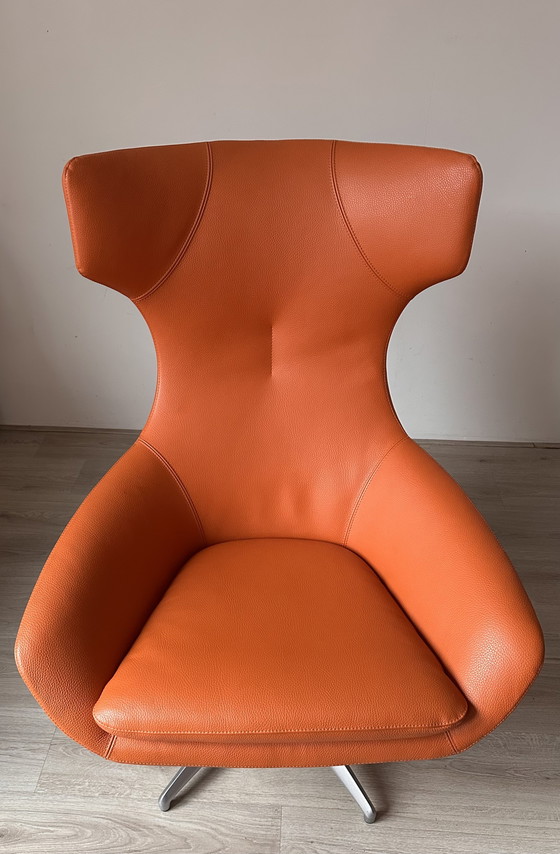 Image 1 of Leolux Caruzzo Basic design fauteuil