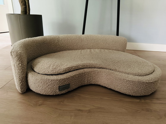 Image 1 of Cama Lounge Boucle