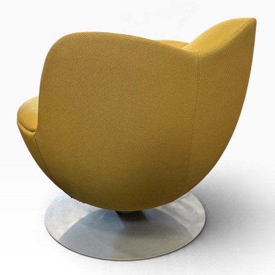 Cappellini Dali Marcel Wanders refurbished I – Poltrone, Metallo, Tessile (photo 5 of 7)