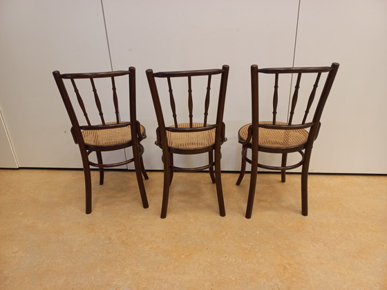 Image 1 of Satz von 3 Café-Stühlen im Thonet-Stil