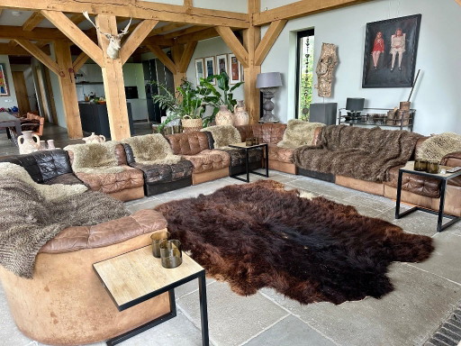 De Sede DS11 für den Liebhaber, Restaurierungsprojekt – modulaire banken, Leather