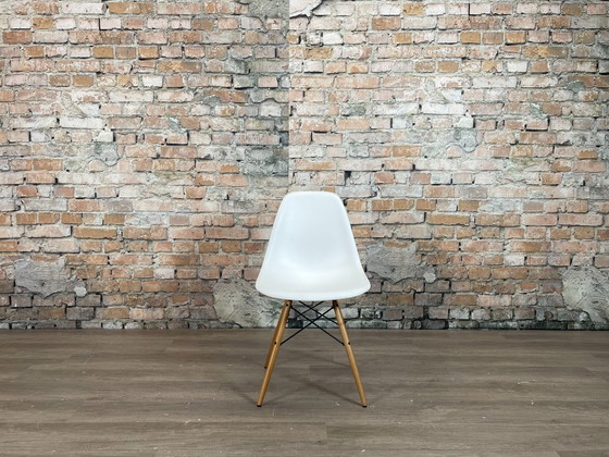 Vitra DSW Wit/Hout - MEER OP VOORRAAD – Eetkamerstoelen, Metal, Plastic (photo 2 of 15)