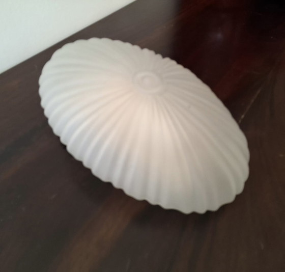 Image 1 of Lámpara de techo Schelpvormige