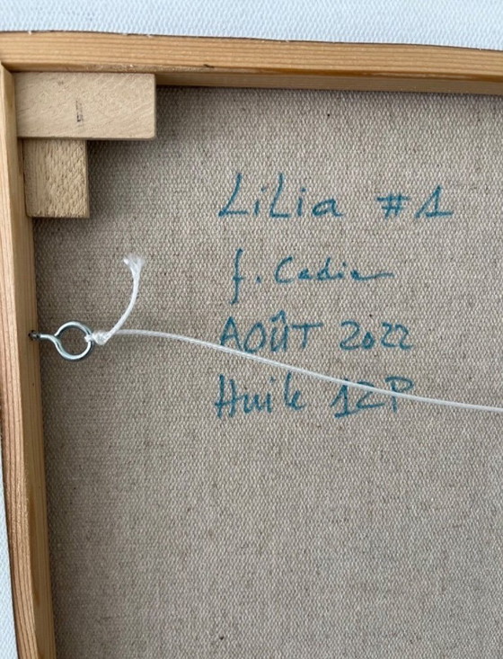 Image 1 of Öl auf Leinwandrahmen 61x46cm.