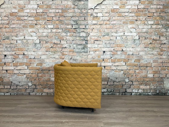 Image 1 of Ocre de la plaine nuageuse de Naughtone