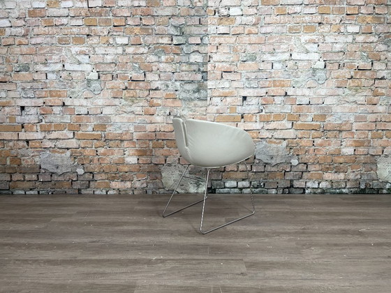 Image 1 of 6x Moroso Fjord