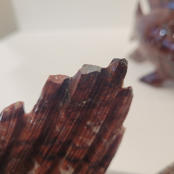 Image 1 of Coppia di pesci, diaspro rosso, XX secolo - Cina