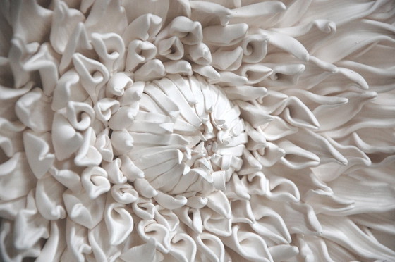 Image 1 of Muurdecoratie, sculptuur, bloemdecoratie, klei, dahlia, organisch bloemenmotief, statement voor je interieur