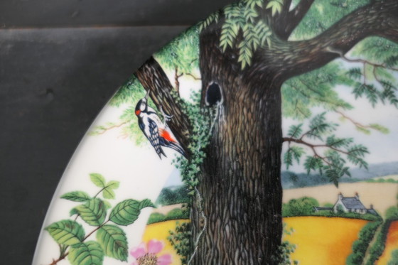 Image 1 of Assiettes décoratives Wedgwood 3 x par Colin Newman 1987