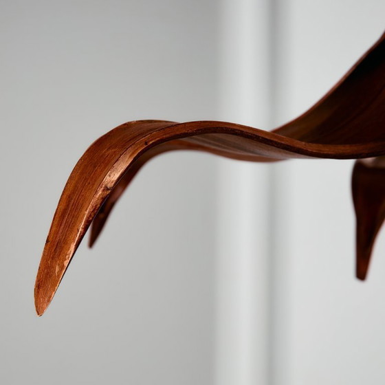 Image 1 of MK10772 Araña de hojas de coco