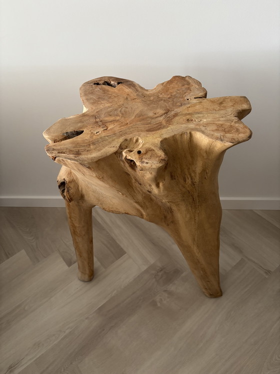Image 1 of Grillige unieke plantentafel teakhout 
