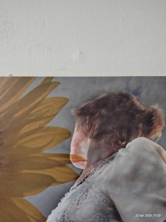 Image 1 of 2 obras fotográficas; título: girasol