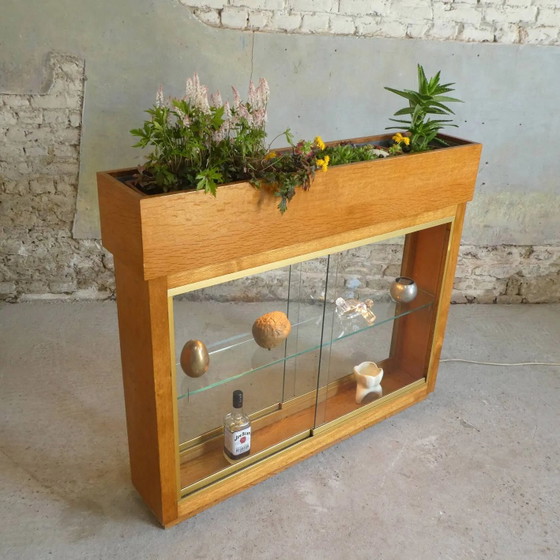 Verlichte plantenbak vitrine uit de jaren 50 – Glas, Vintage (photo 7 of 13)