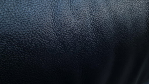 De Sede ds 140 designer sofa leather sofa couch functional sofa Desede