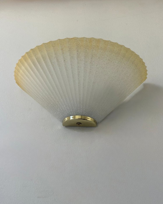 Image 1 of Coppia di applique vintage a conchiglia, vetro e ottone, Francia, 1970