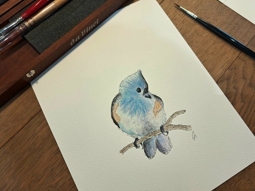 Watercolor painting of a two-colored titmouse