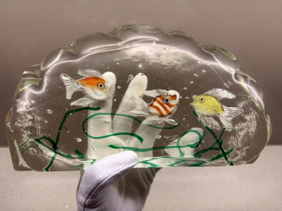 Vintage Murano Aquarium with three fish – attributed to Alfredo Barbini for Cenedese – Decorative Objects (photo 12 of 15)