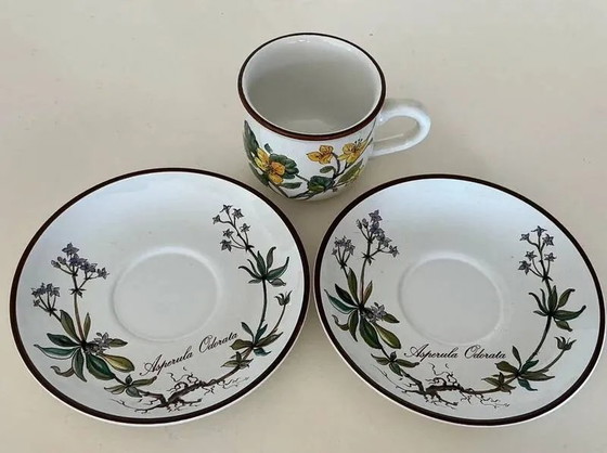 Tazza Chelidonium Majus & Piattino Asperula Odorata - Villeroy & Boch Botanica, Stoviglie, Porcellana, Retro (foto 4 di 5)