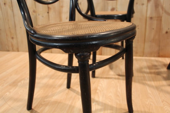 Image 1 of Sedie serie 6 di Thonet modello n. 2 1870/80
