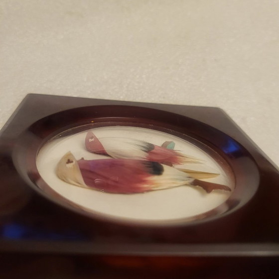 Image 1 of Cornice vintage in bachelite e veri uccelli piumati