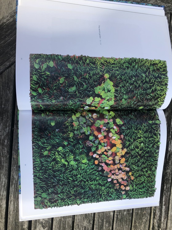 Image 1 of Nicko Emotion  - Nico Van Dale - Animamix Gallery