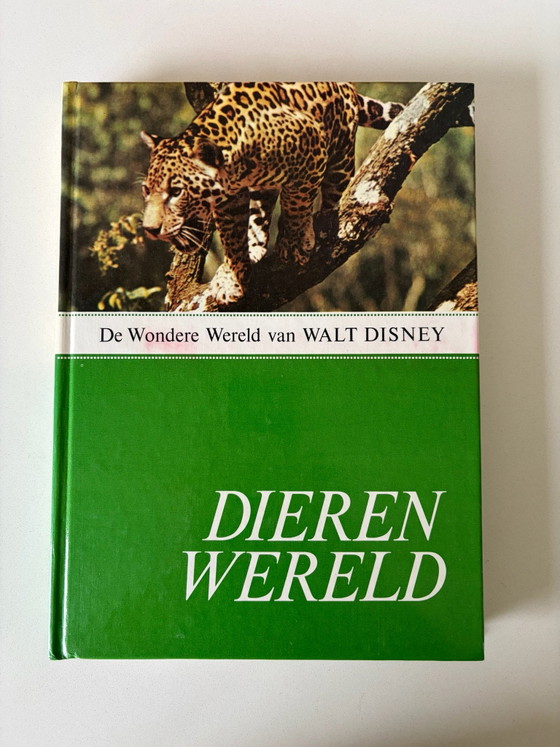 Classic Walt Disney 4-piece book set – Coffee table books, Paper (photo 11 of 15)