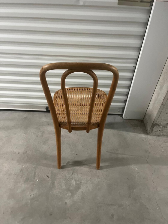 Image 1 of 6 original rattan Thonet chairs in good condition