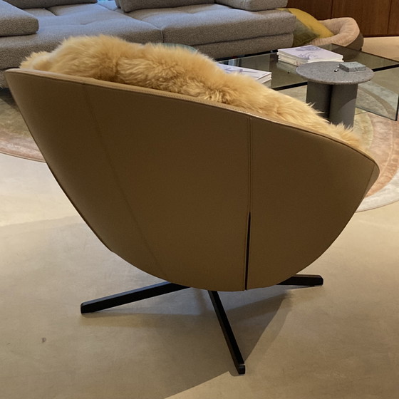 Image 1 of de Sede DS-265/01 Coco armchair