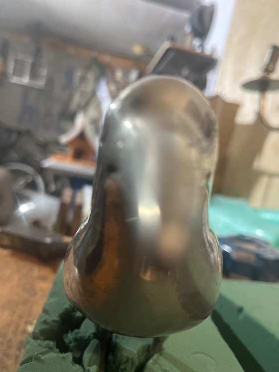 Image 1 of Uccello d'argento