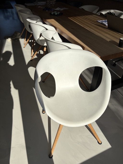 8 Tonon designer dining chairs made in Italy