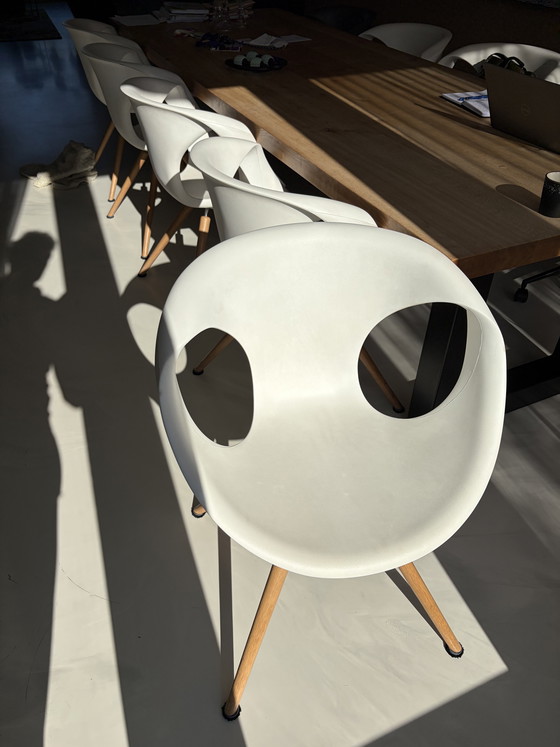 Image 1 of 8 sillas de comedor de diseño Tonon fabricadas en Italia